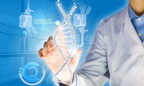 PCR技术原理、实验步骤和应用