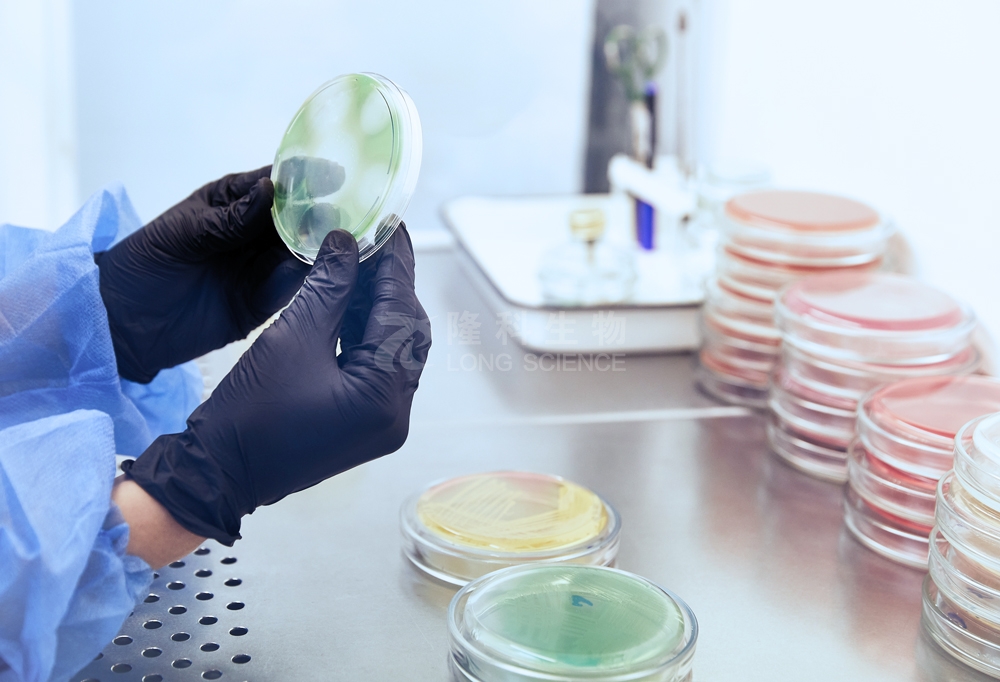 解析 MIC 与 MBC：抗菌药物抗菌活性的两大关键参数